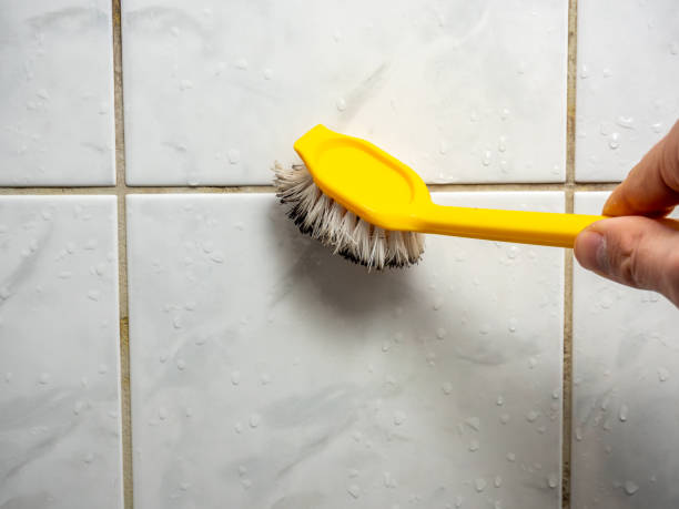 Best Residential Mold Removal  in Italy, TX