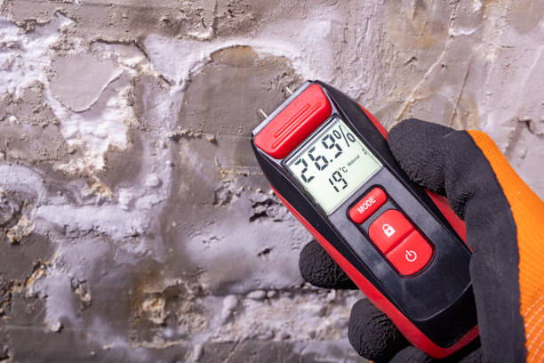 Mold Testing and Removal in Italy, TX